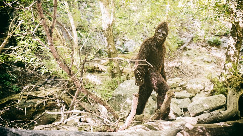 Last Bigfoot Sightings Reported in Ohio