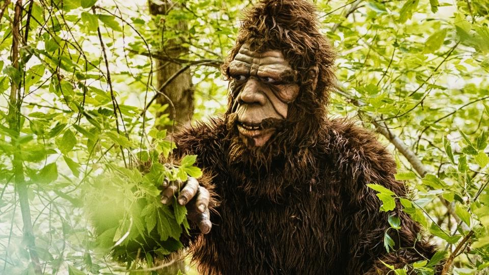What Does Bigfoot Eat?