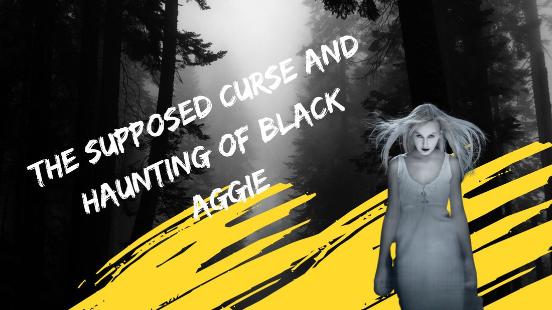 The Supposed Curse and Haunting of Black Aggie