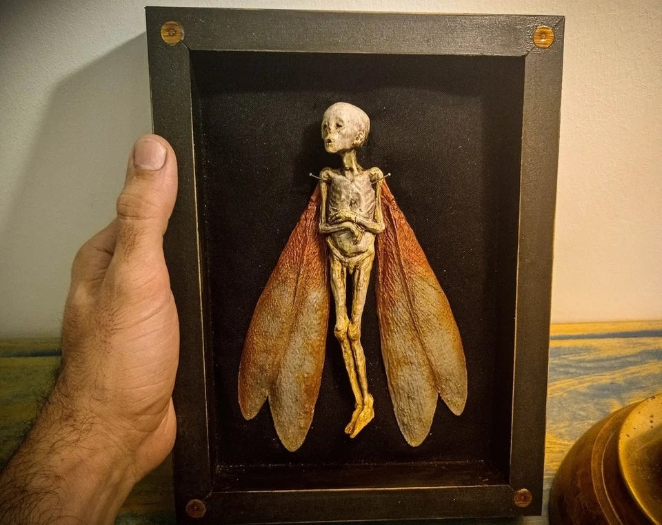 Cursed Dead Fairy Shadow Box 