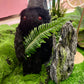 16" Huge Handmade 'Momo' The Missouri Monster Plush
