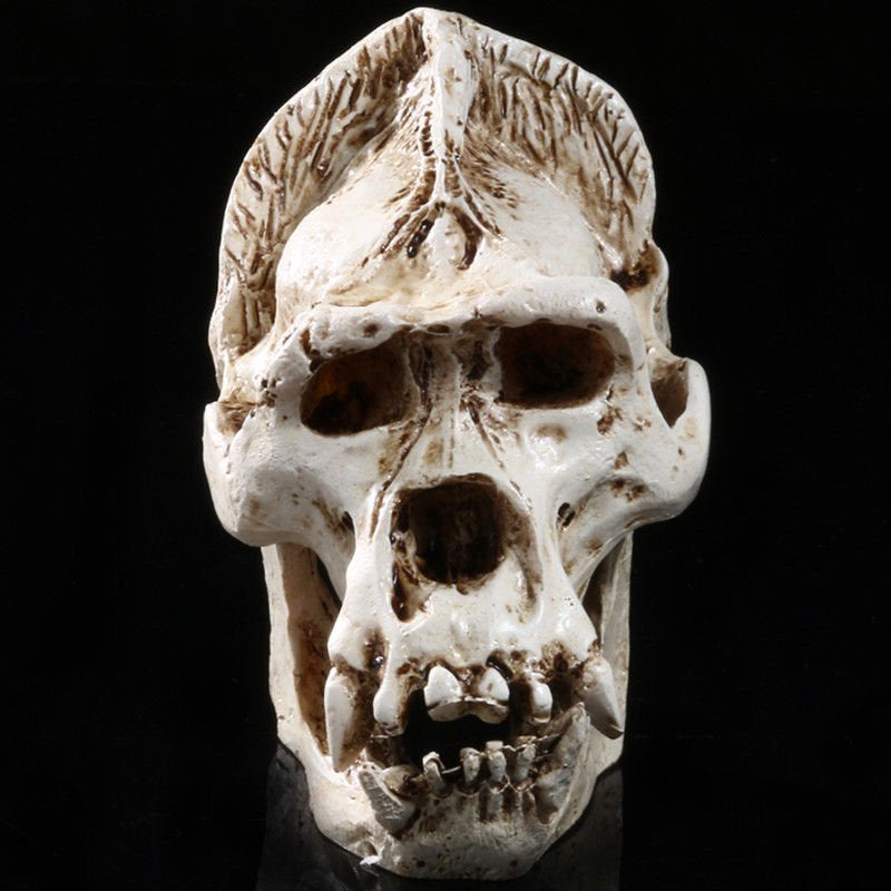 "Coyote" Peterson Inspired Bigfoot Replica Primate Skull