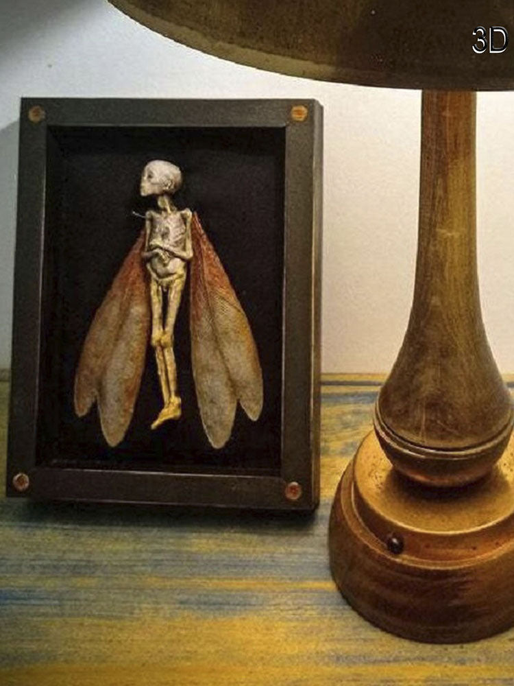 Cursed Dead Fairy Shadow Box 